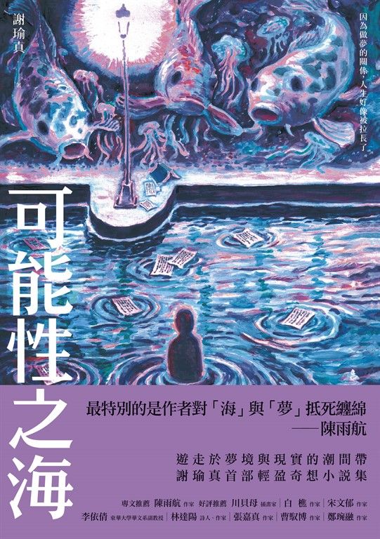 可能性之海 (電子書)