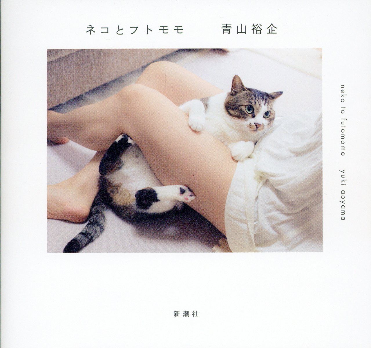 ネコとフトモモ