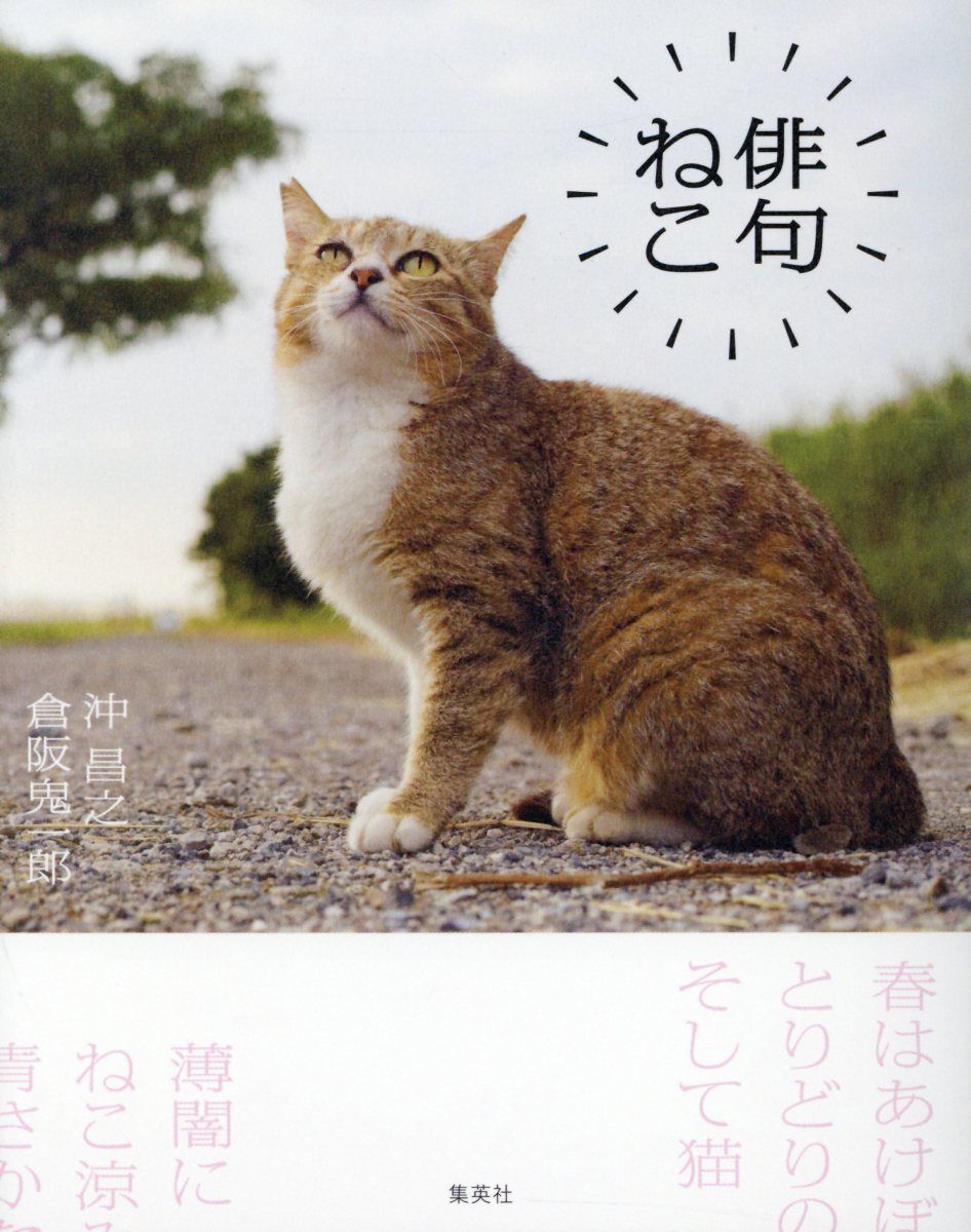 俳句ねこ