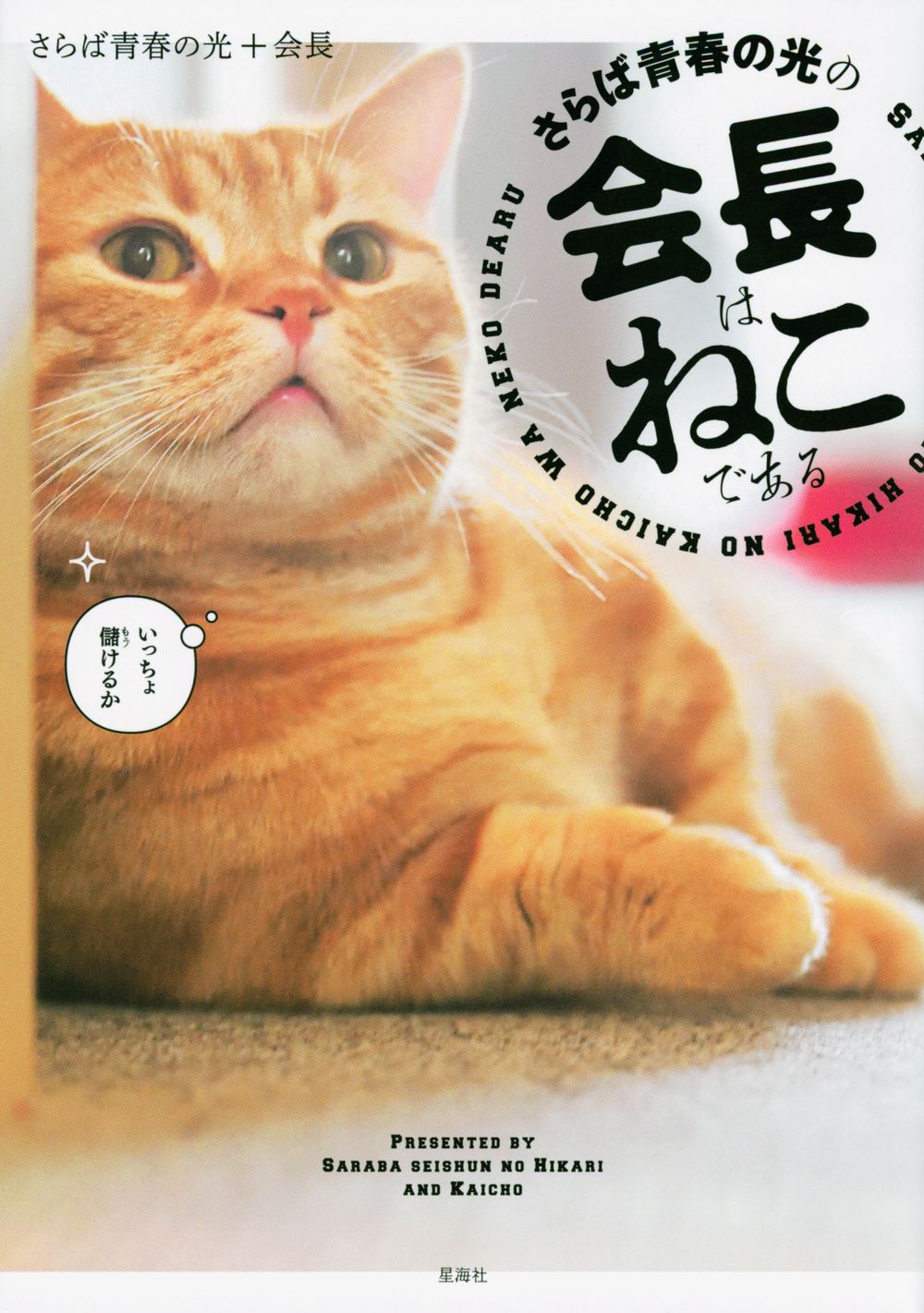 さらば青春の光の会長はねこである