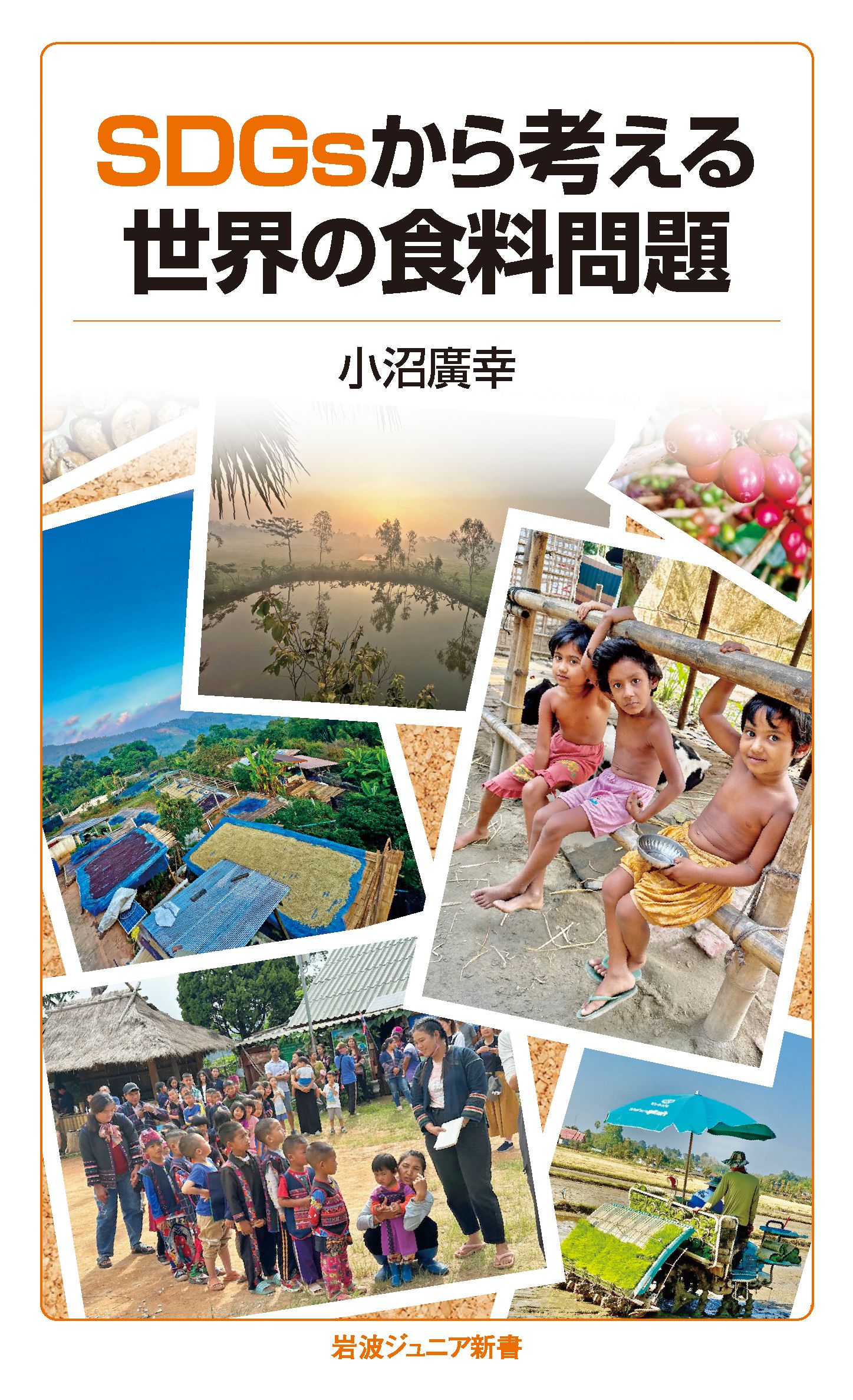 SDGsから考える世界の食料問題 岩波ジュニア新書 984