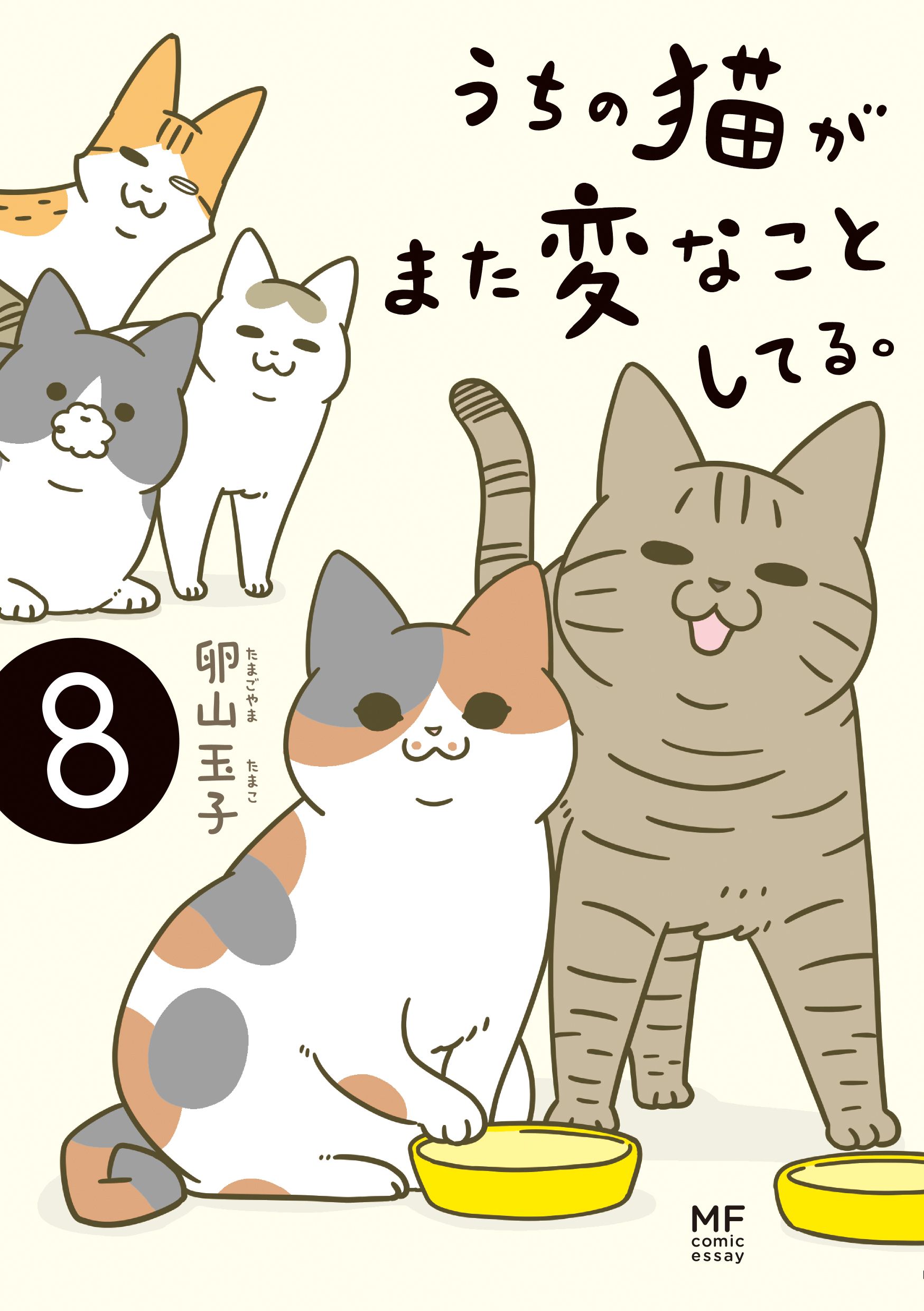 うちの猫がまた変なことしてる。 8