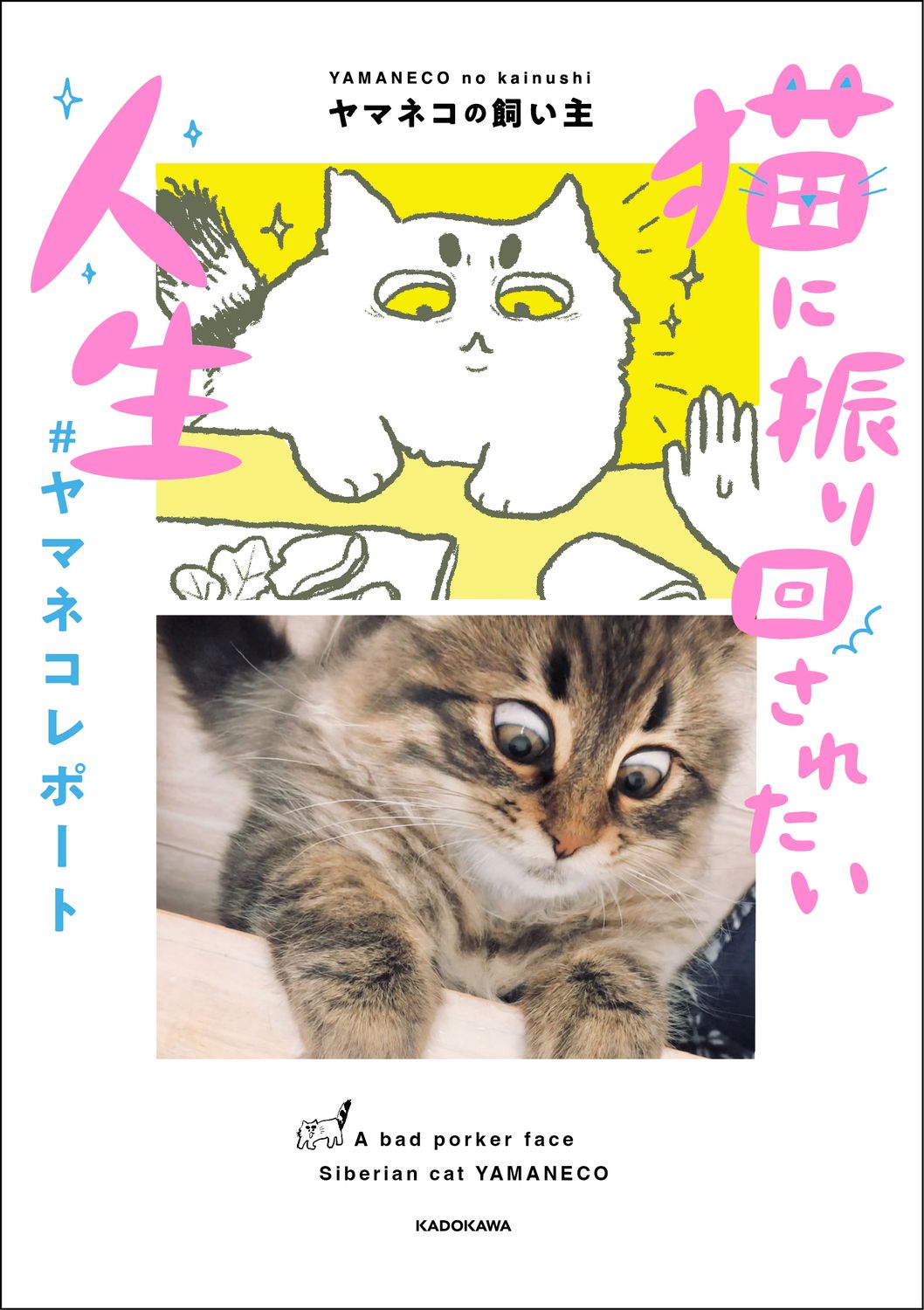 猫に振り回されたい人生 #ヤマネコレポート