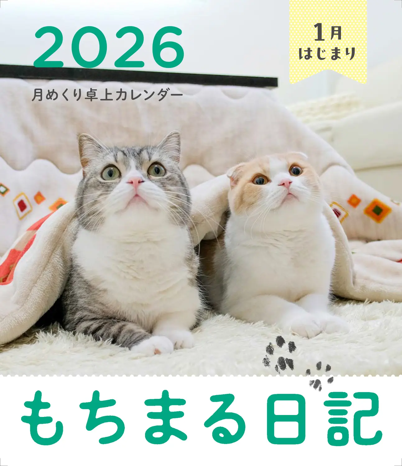 もちまる日記月めくり卓上カレンダー 1月はじまり 2026 [カレンダー]