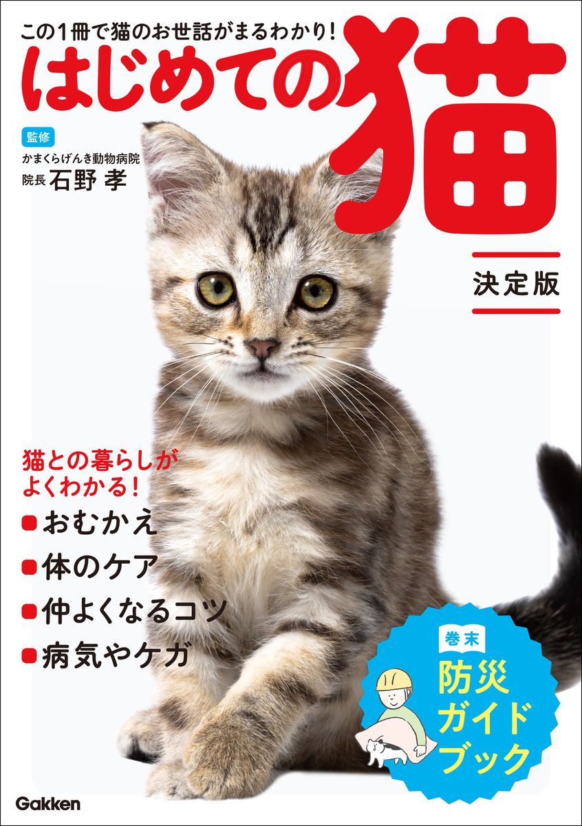 はじめての猫 決定版