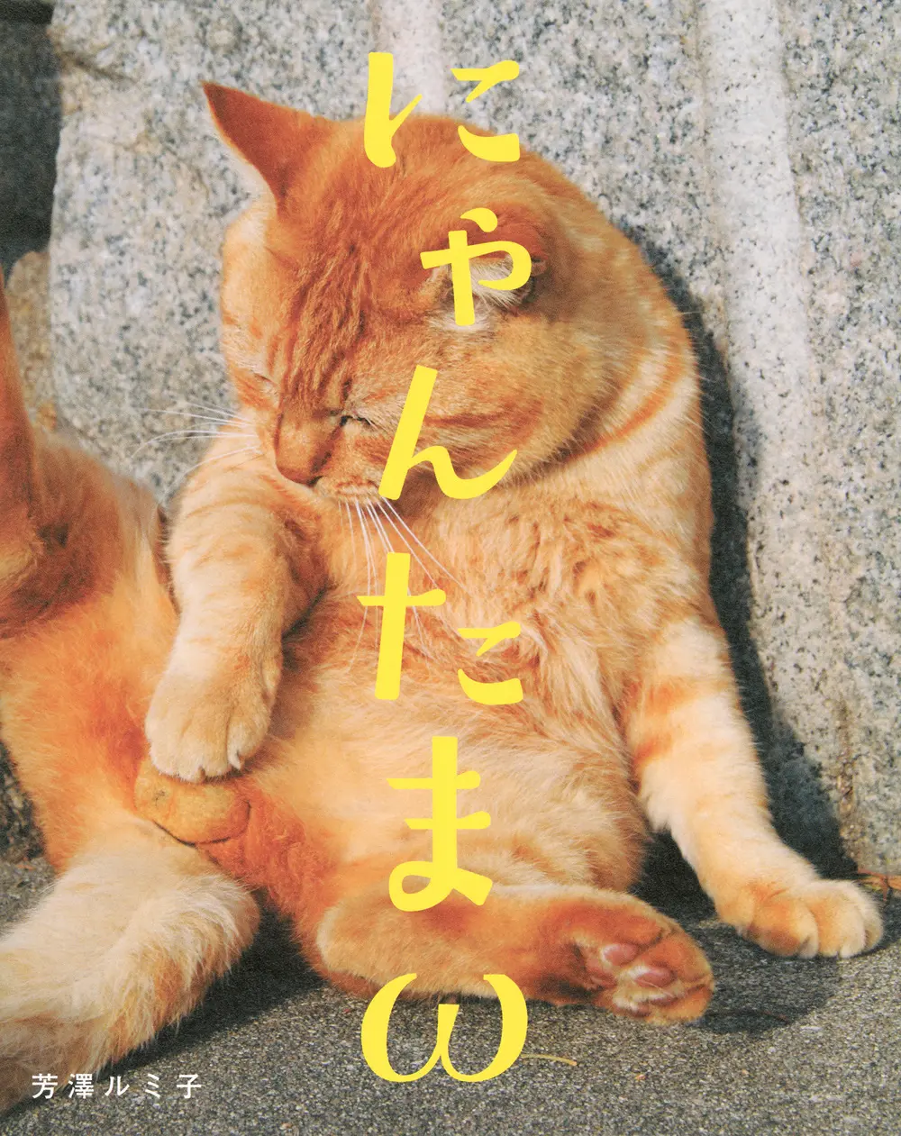 動物．寵物