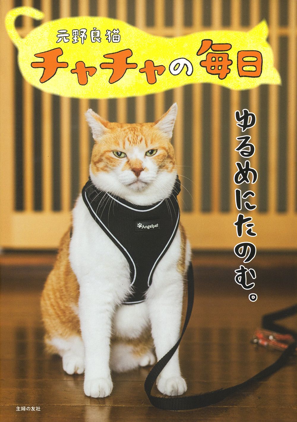元野良猫チャチャの毎日