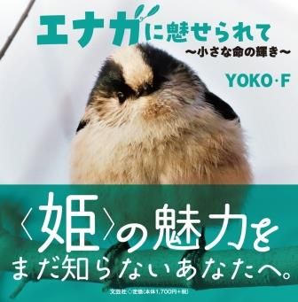 エナガに魅せられて~小さな命の輝き~