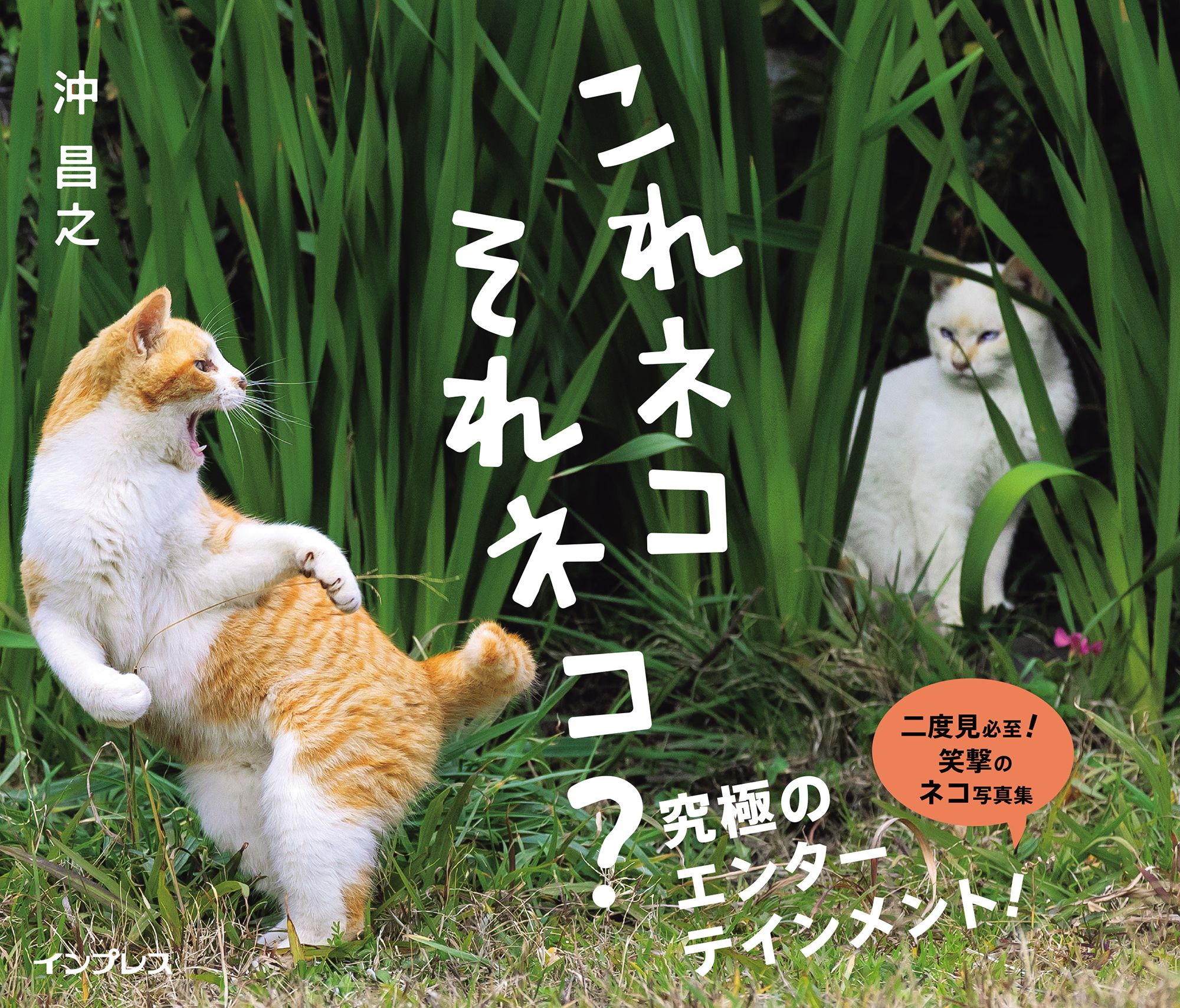 これネコ それネコ?