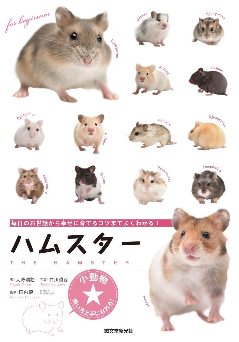 ハムスター 小動物★飼い方上手になれる!