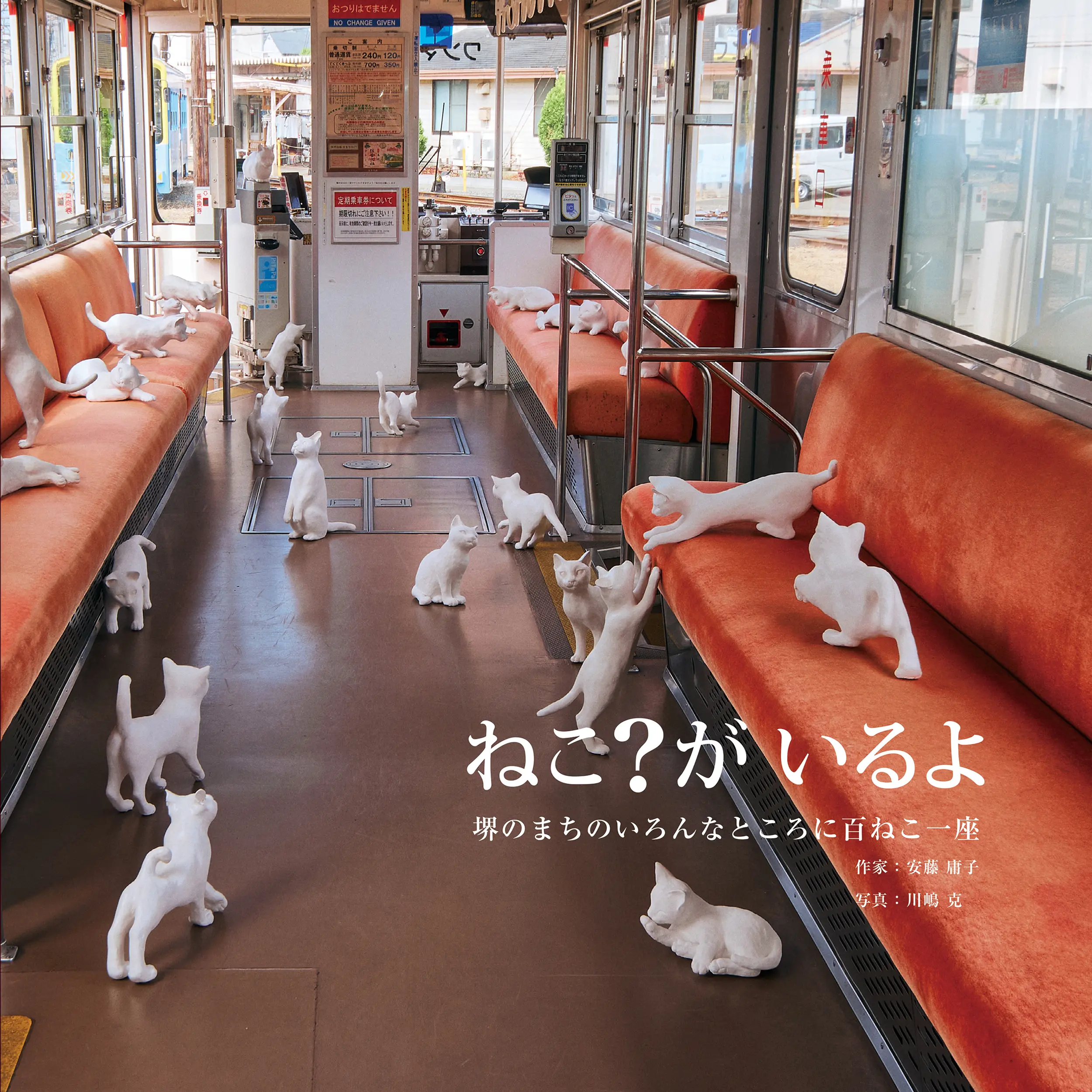 ねこ?がいるよ