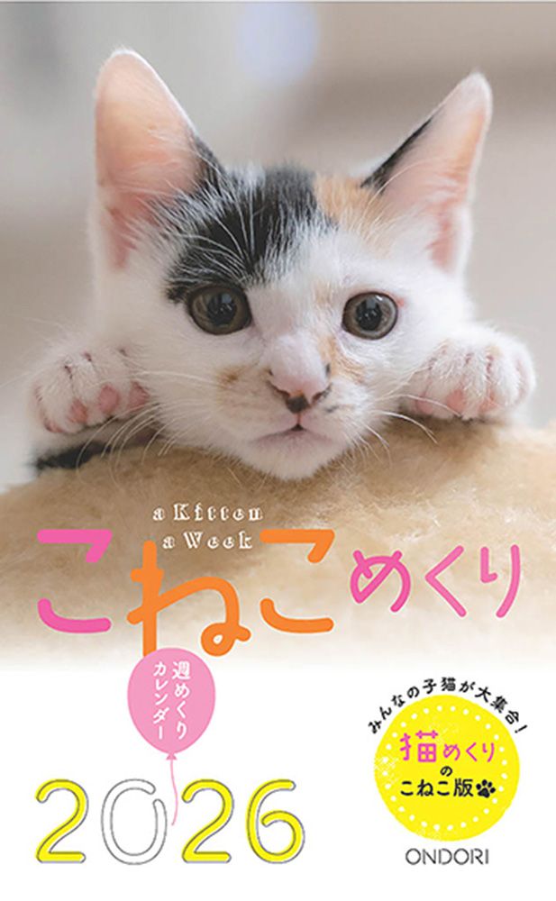 こねこめくり 2026 [カレンダー]