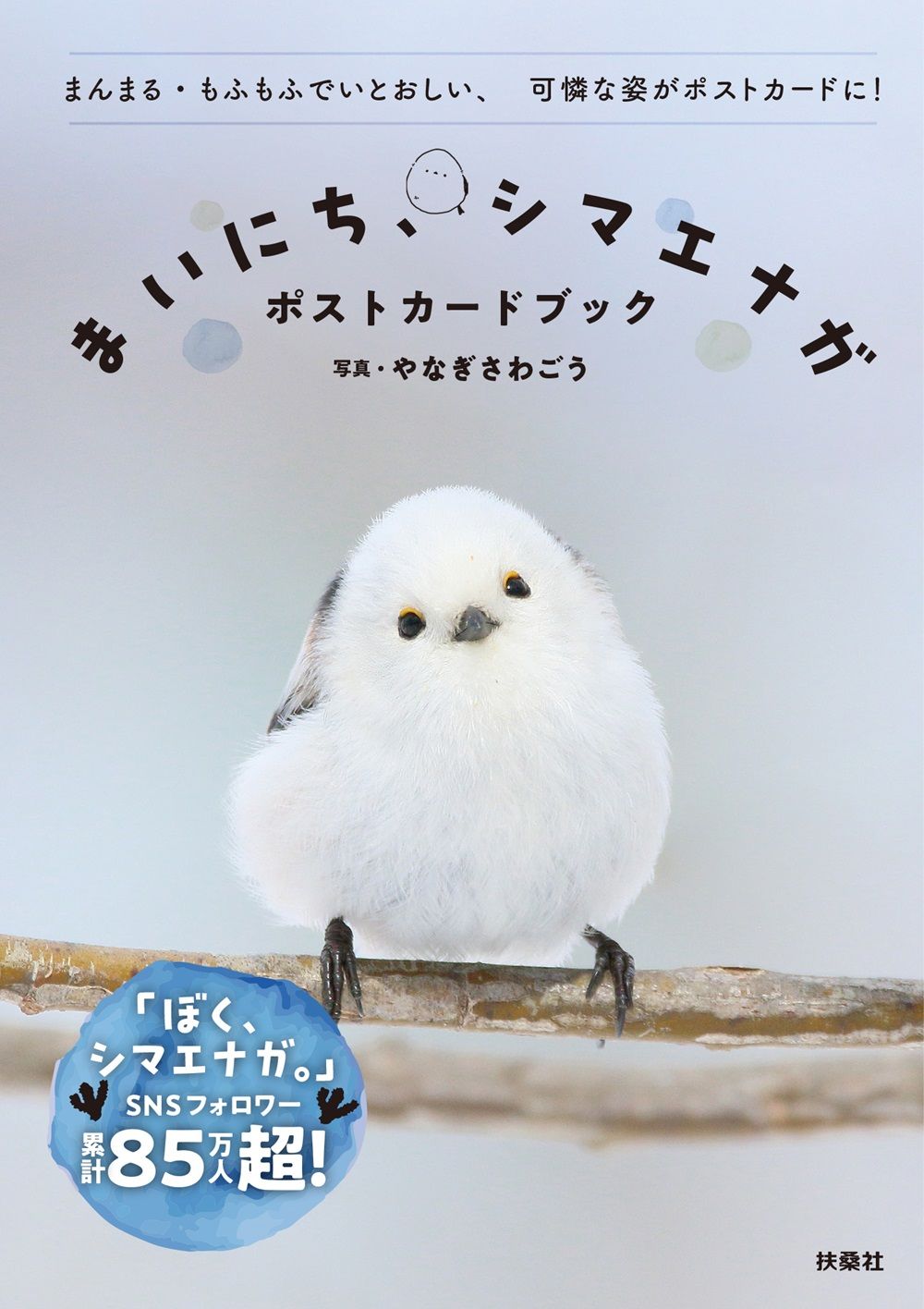 まいにち、シマエナガ ポストカードブック [バラエティ]