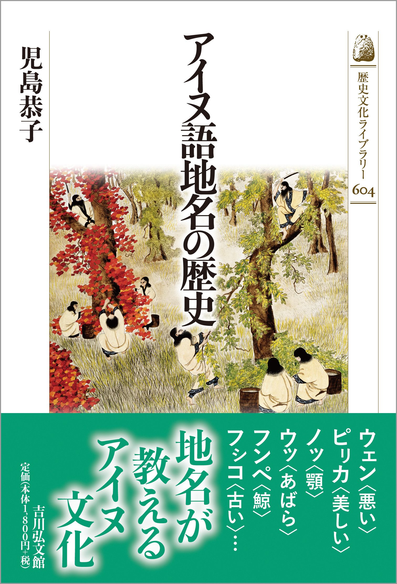 アイヌ語地名の歴史 歴史文化ライブラリー 604