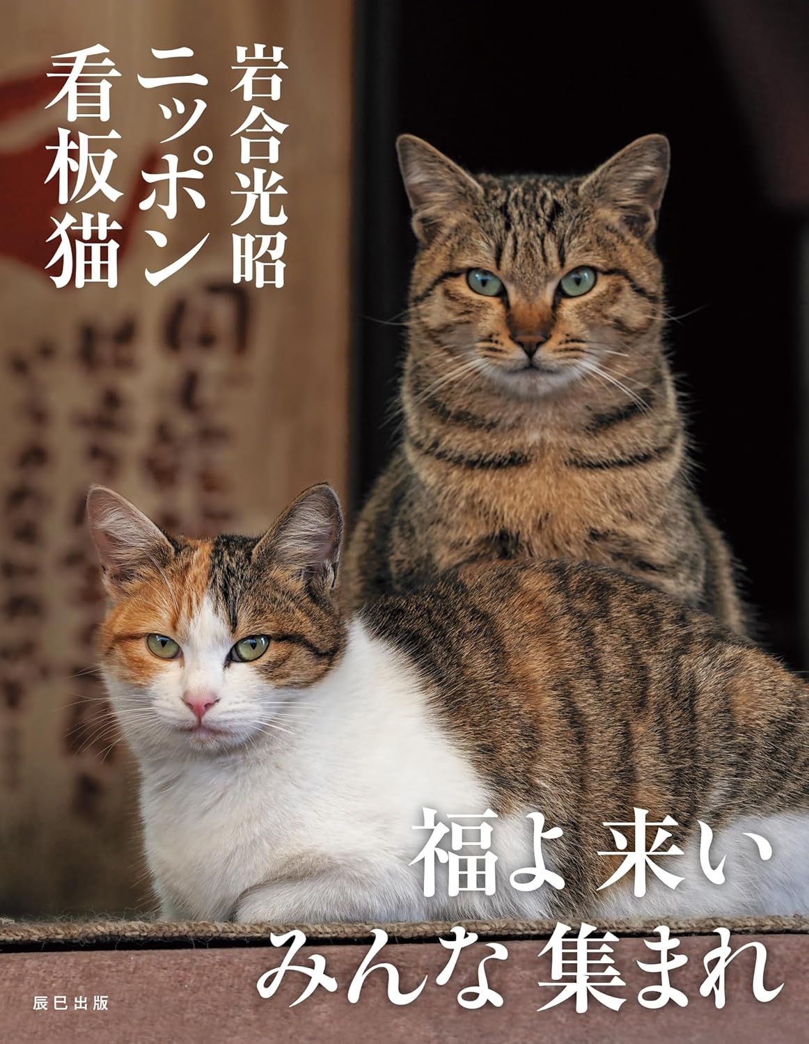 岩合光昭 ニッポン看板猫