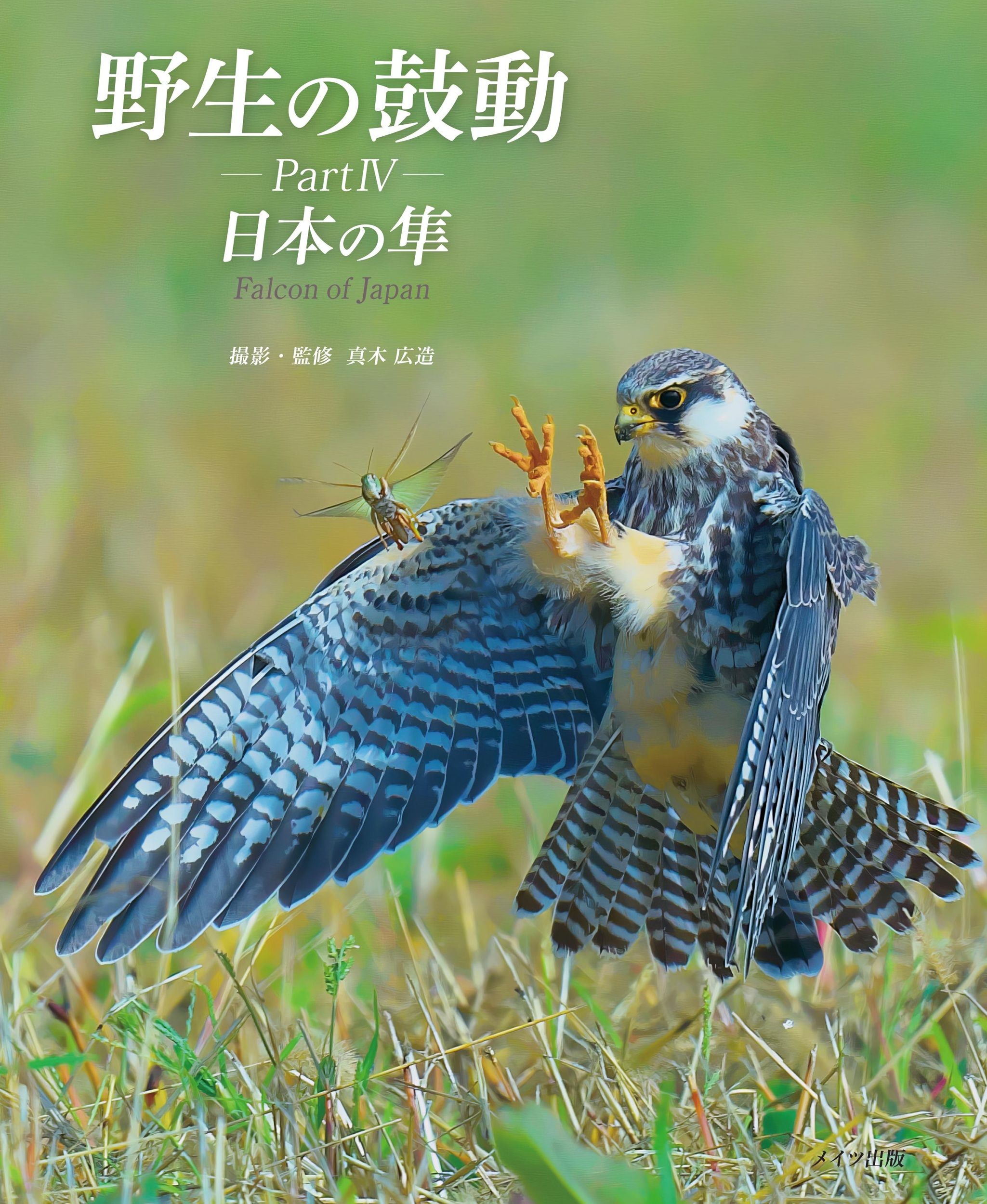 野生の鼓動 Part4
