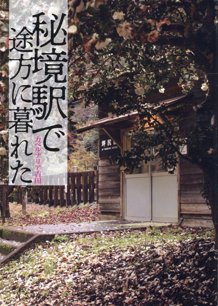 秘境駅で途方に暮れた