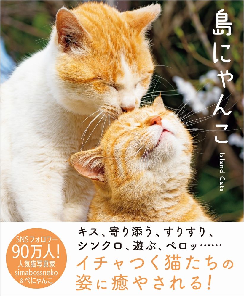 島にゃんこ