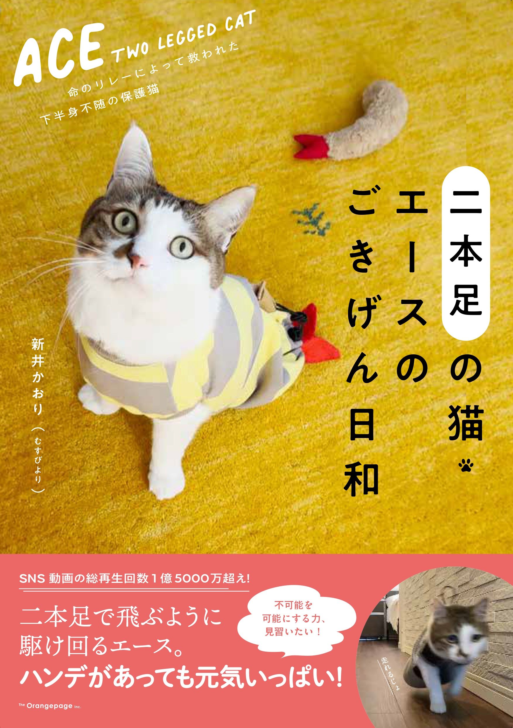 二本足の猫．エースのごきげん日和