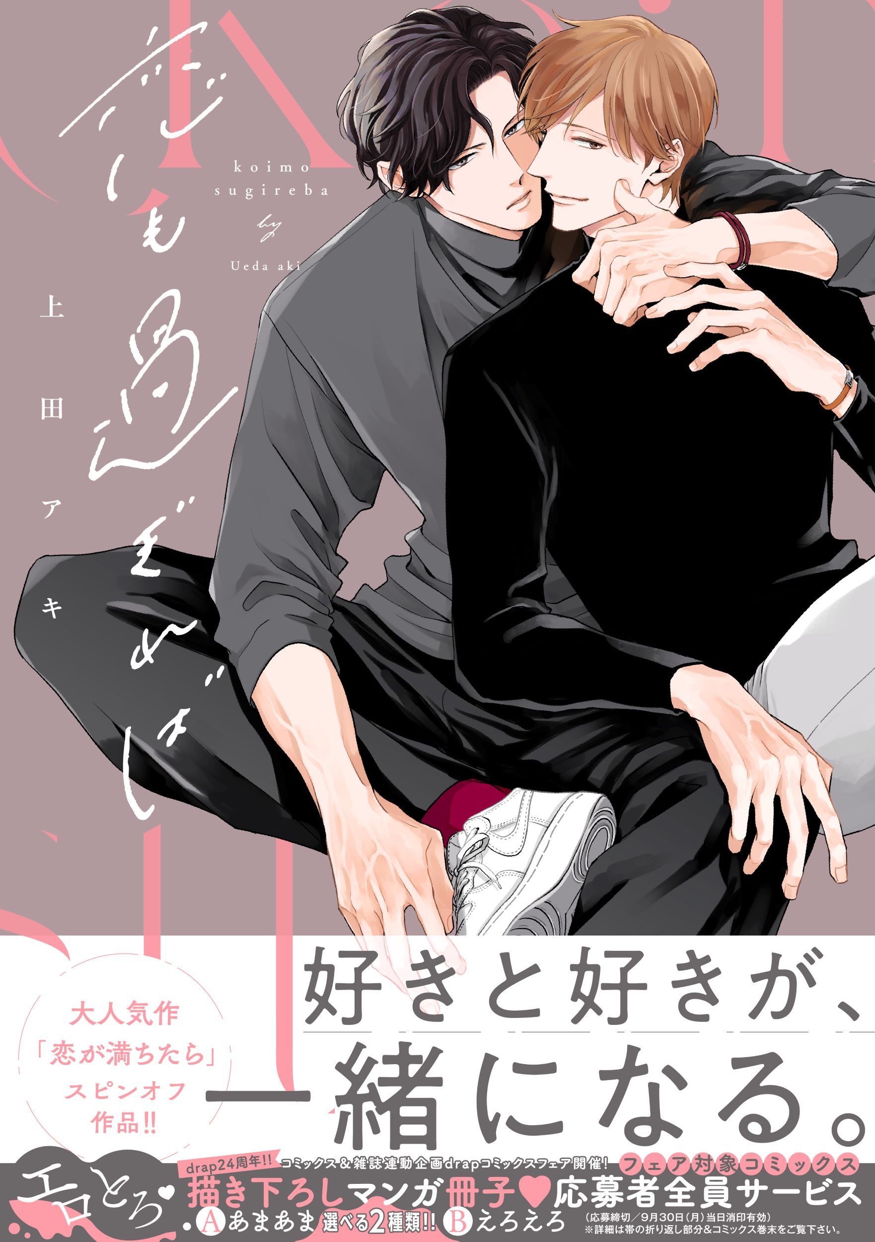恋も過ぎれば drap COMICS DX NO.256