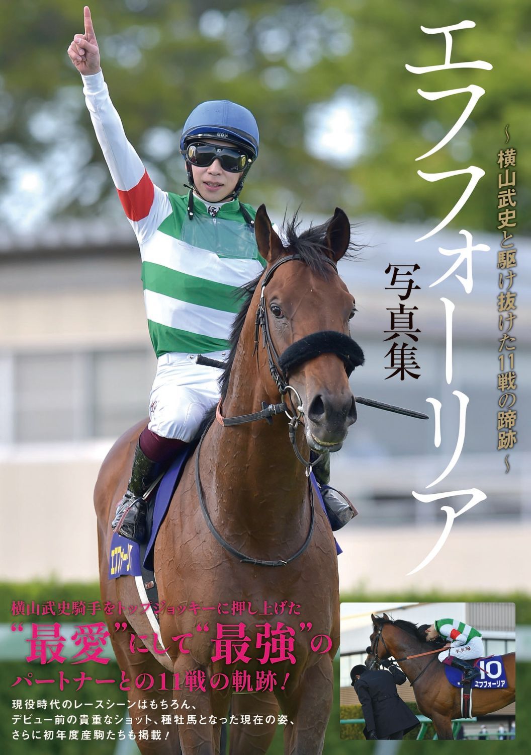 エフフォーリア写真集