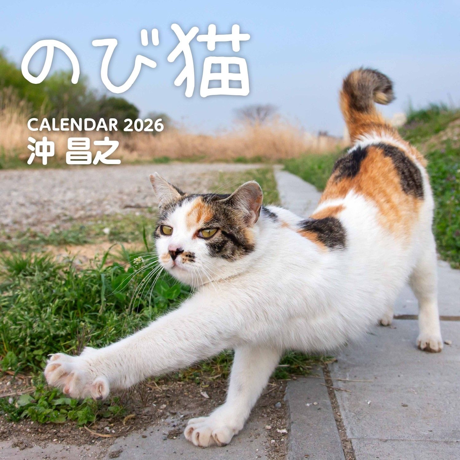 のび猫カレンダー 2026 [カレンダー]