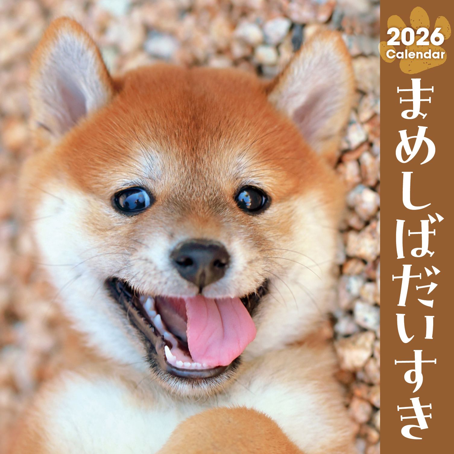 まめしばだいすきカレンダー 2026 [カレンダー]