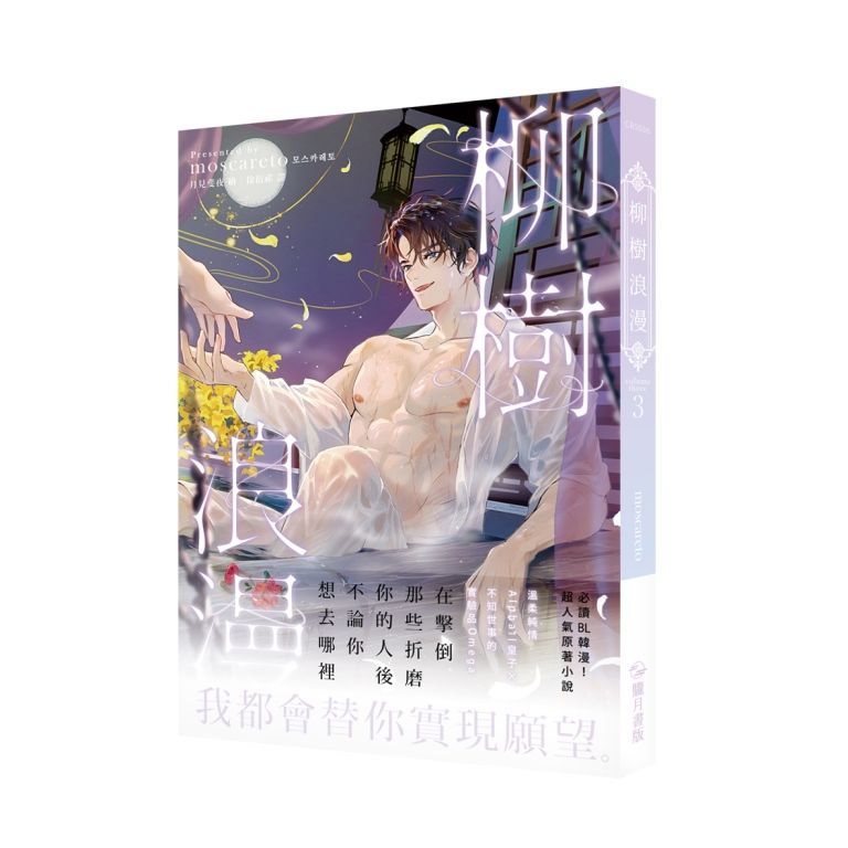 柳樹浪漫 3