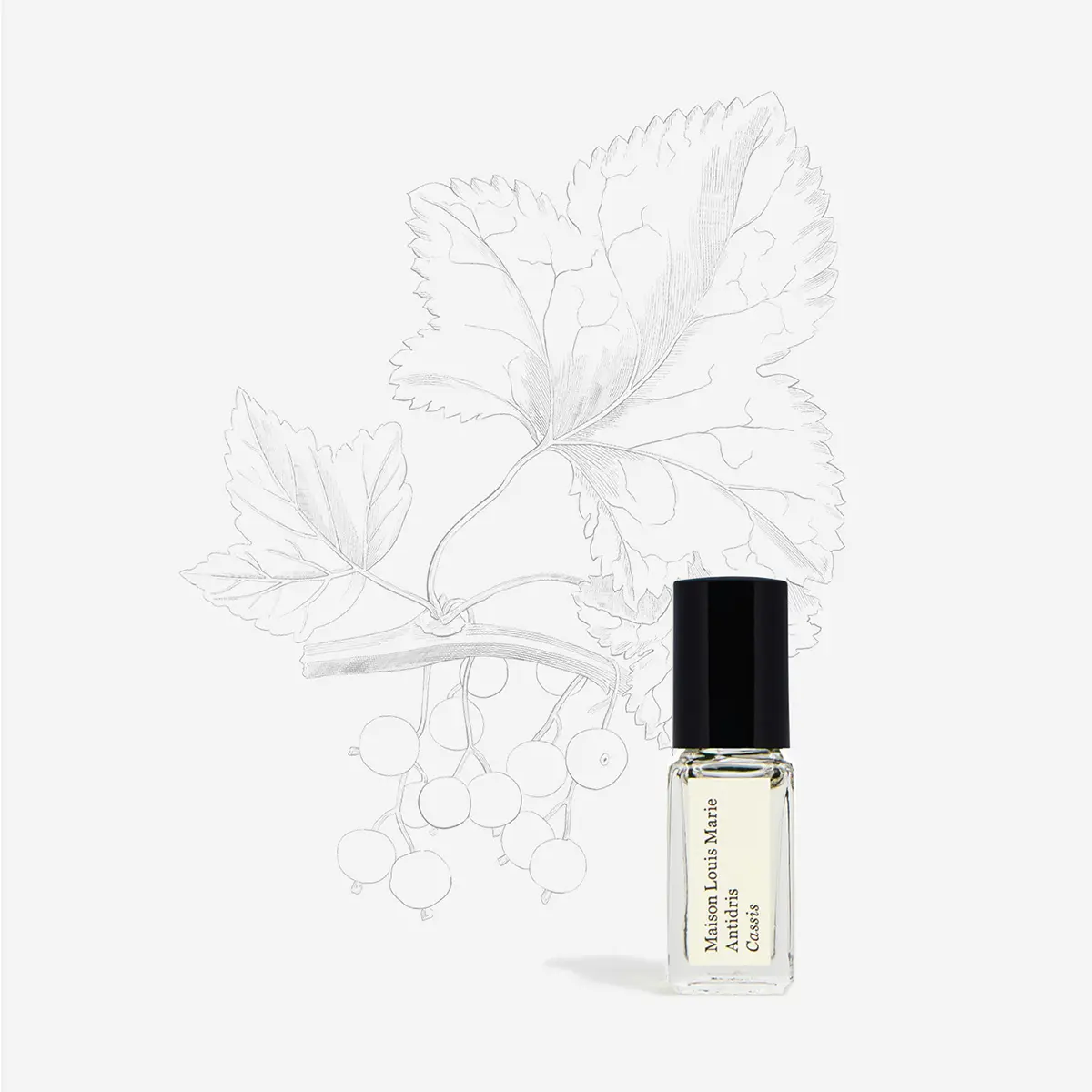 MAISON LOUIS MARIE Antidris Cassis 果然白玫瑰/ 滾珠油/ 3ml