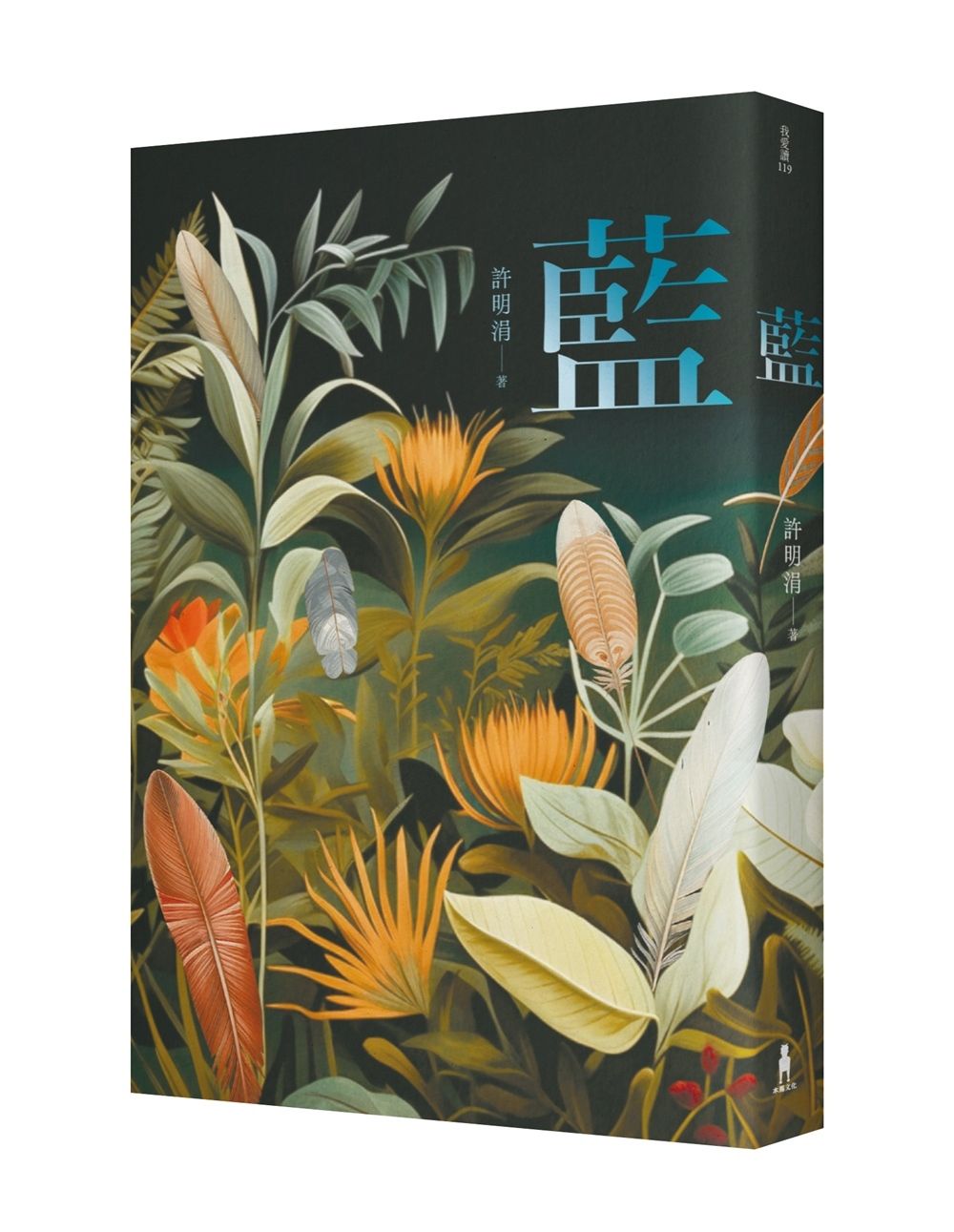 藍: 許明涓短篇小說集