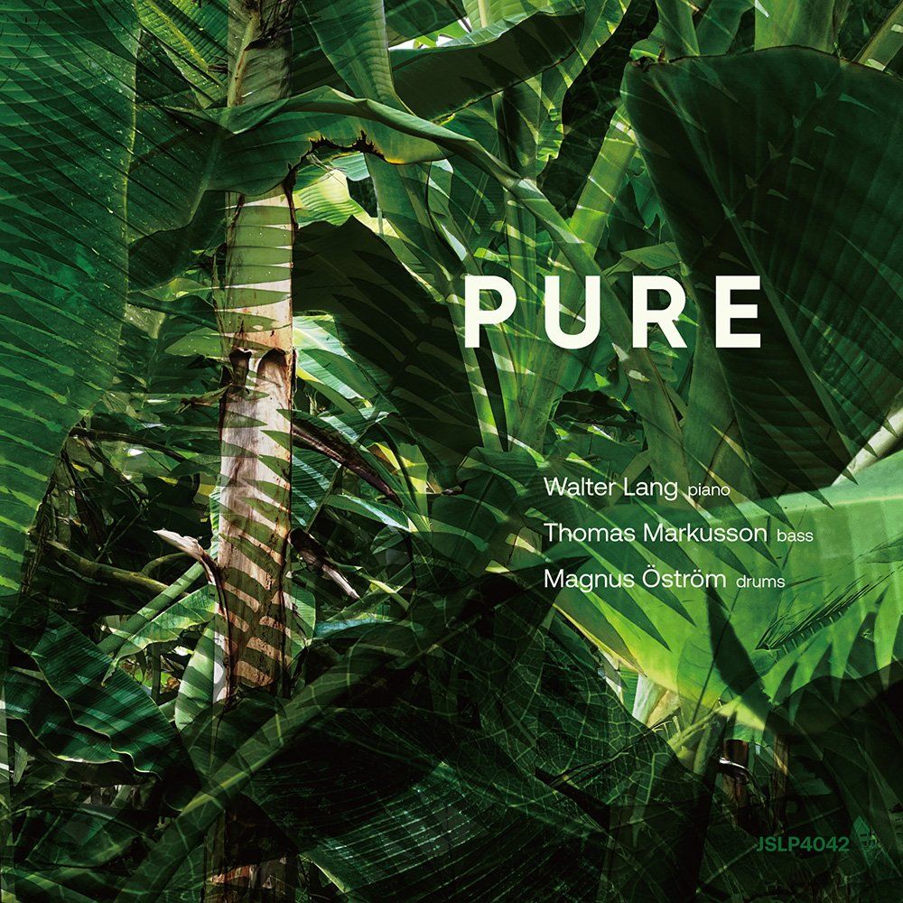 Pure (LP)