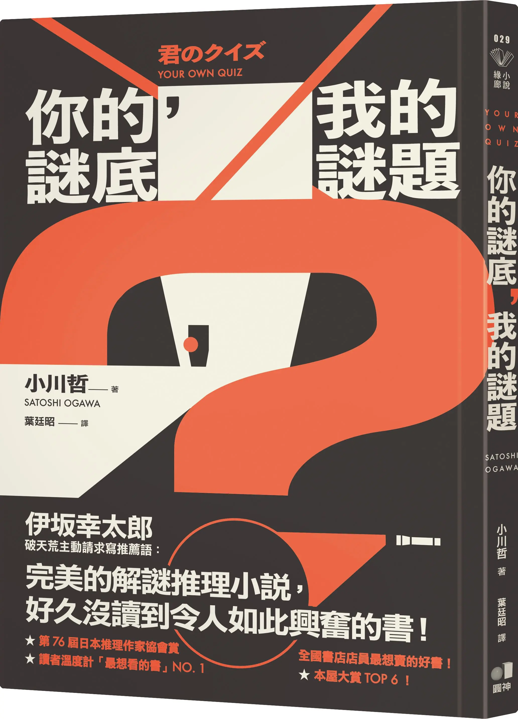 你的謎底, 我的謎題
