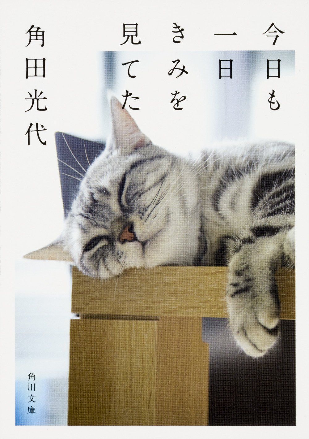 今日も一日きみを見てた (文庫)