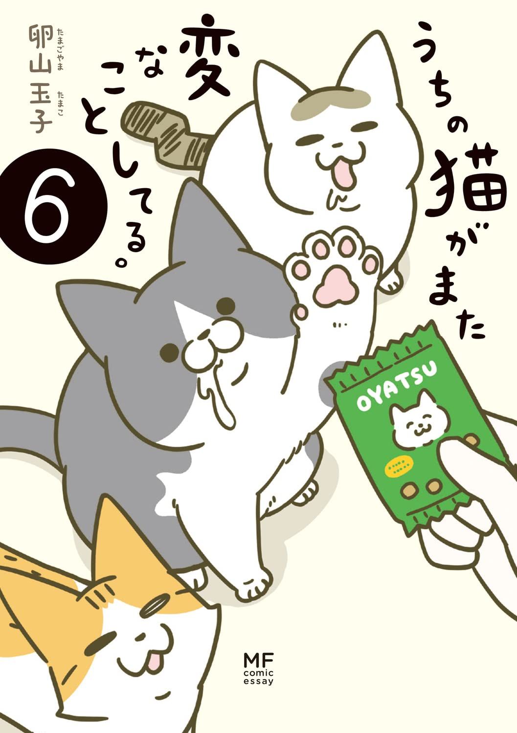 うちの猫がまた変なことしてる。 6