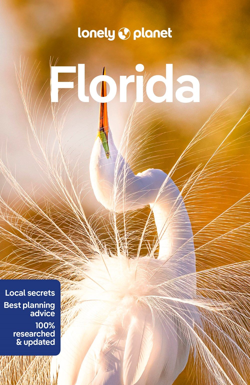 Lonely Planet: Florida (10 Ed.)
