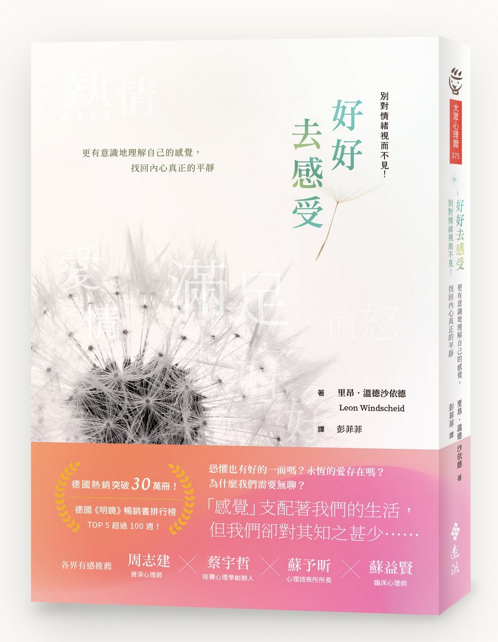 好好去感受: 別對情緒視而不見!更有意識地理解自己的感覺, 找回內心真正的平靜