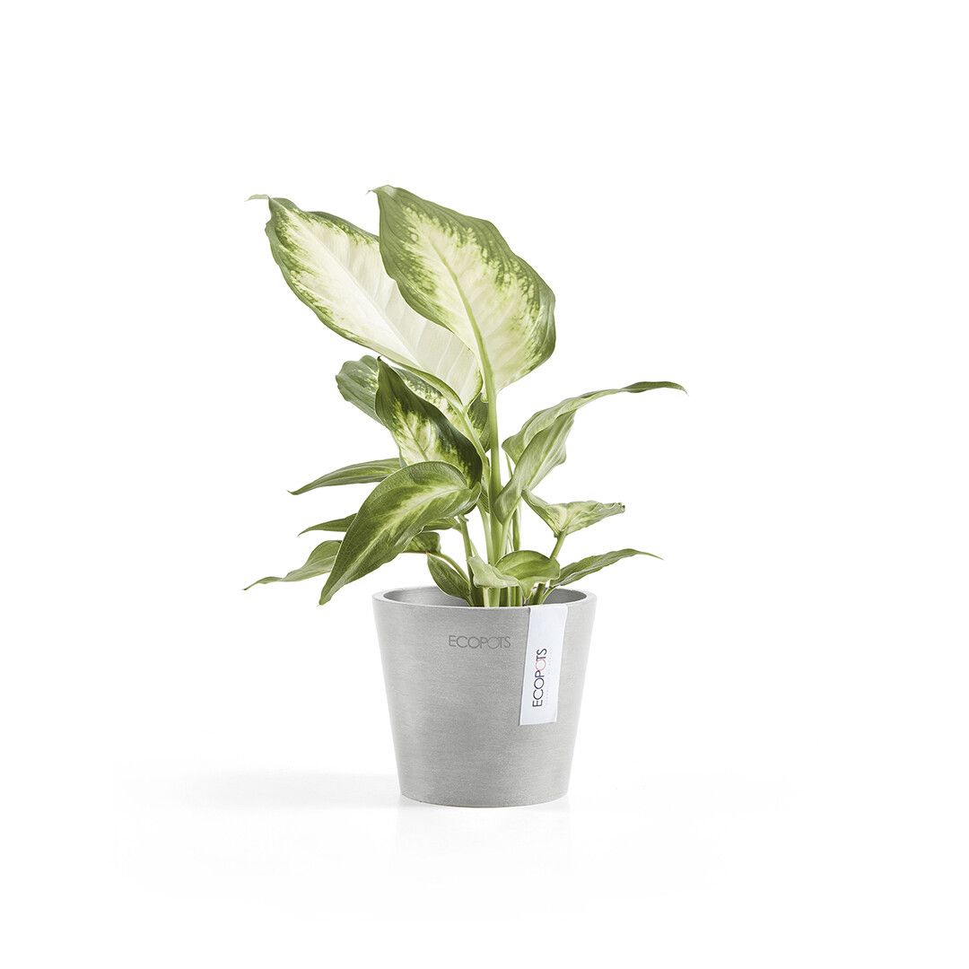 ECOPOTS 比利時環保膠盆 Amsterdam Mini  10.5cm 灰白色
