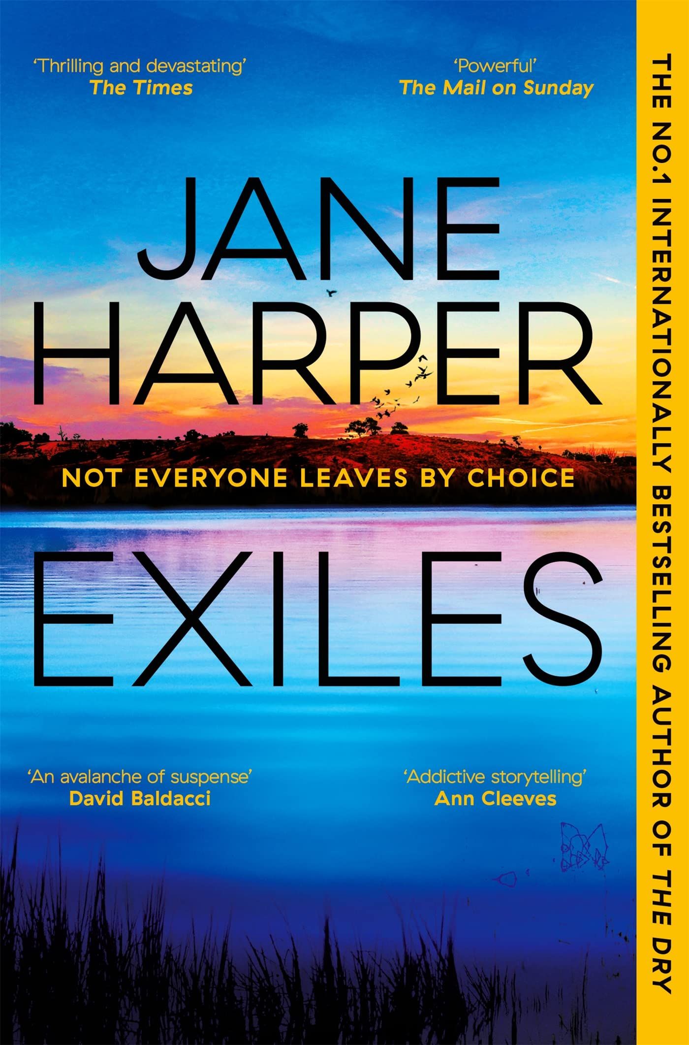 Aaron Falk 3: Exiles