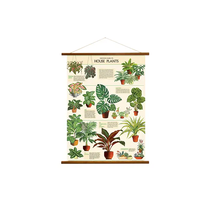 美國 Cavallini 復古海報掛軸組 / 室內植物
