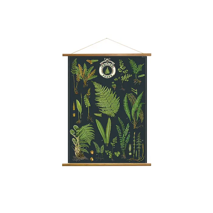 美國 Cavallini 復古海報掛軸組 / 英國蕨類植物