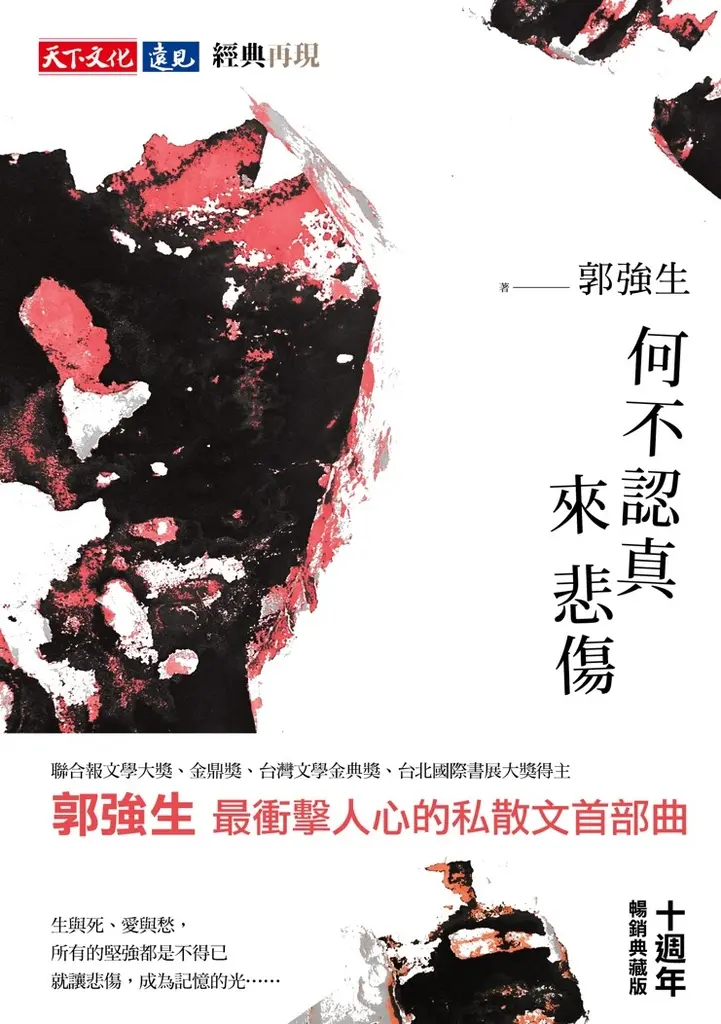何不認真來悲傷（十週年暢銷典藏版） (電子書)