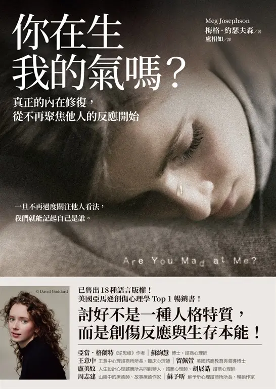 你在生我的氣嗎？：真正的內在修復，從不再聚焦他人的反應開始 (電子書)