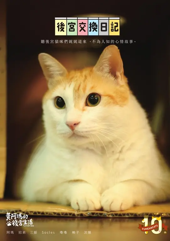 黃阿瑪的後宮生活：後宮交換日記【十週年紀念版】 (電子書)