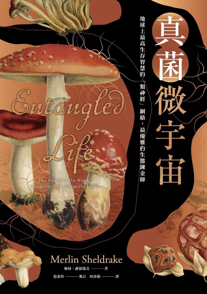真菌微宇宙：地球上最高生存智慧的「類神經」網絡，最優雅的生態鍊金師 (電子書)