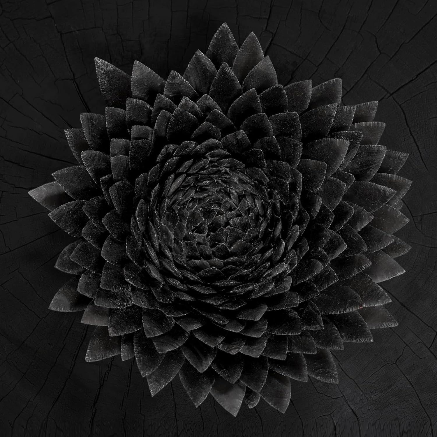 Obsidian (2LP/Black with Gold Galaxy Vinyl)