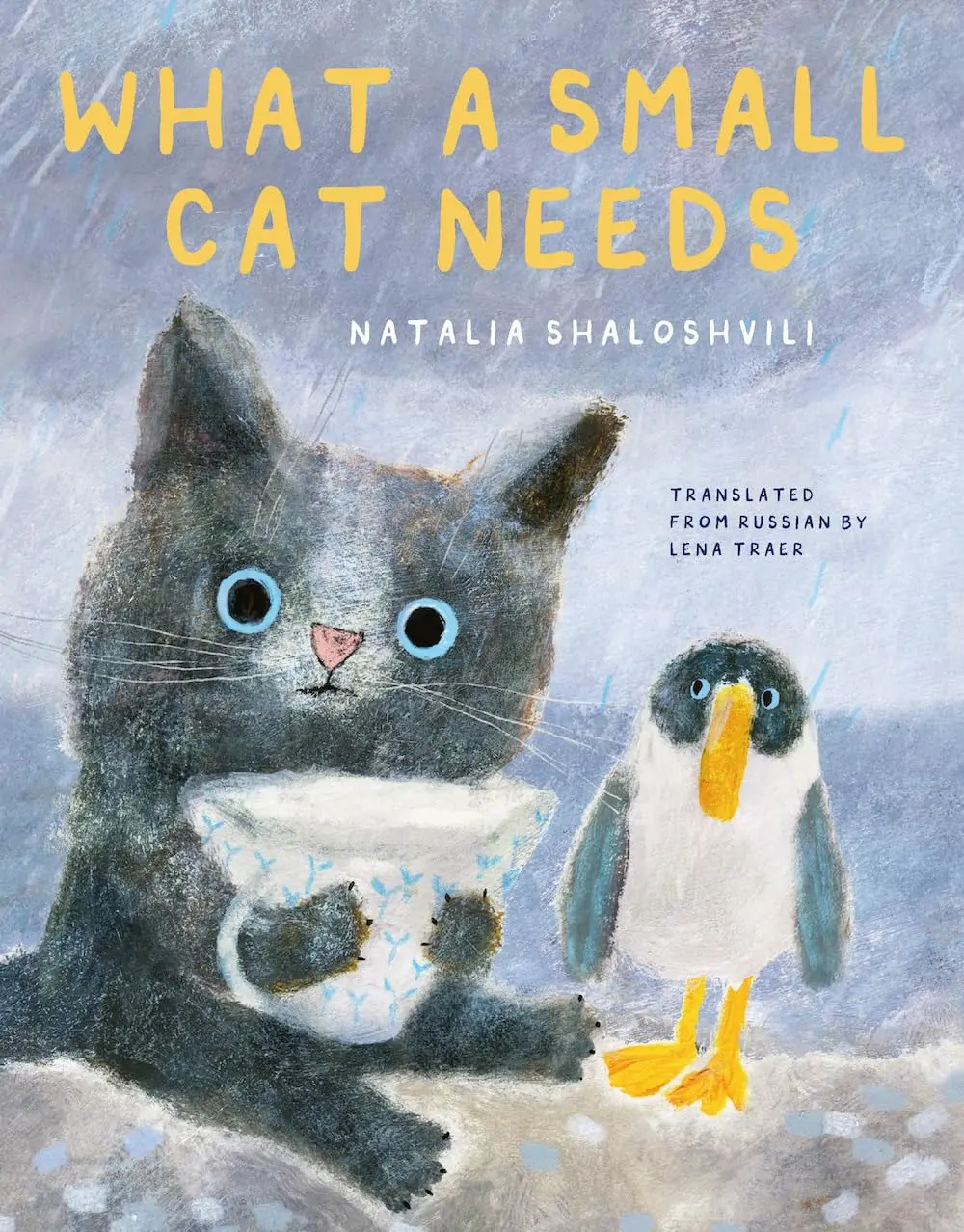 喵星人療癒出沒中➤What a Small Cat Needs