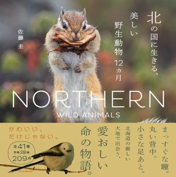 北の国に生きる、美しい野生動物12カ月
