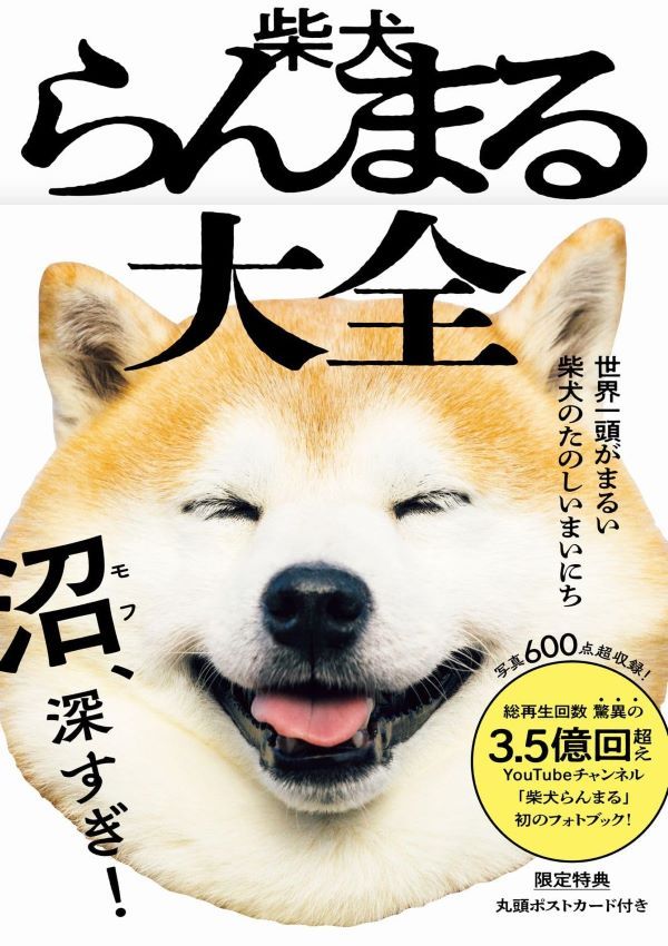 柴犬らんまる大全: 世界一頭がまるい柴犬のたのしいまいにち