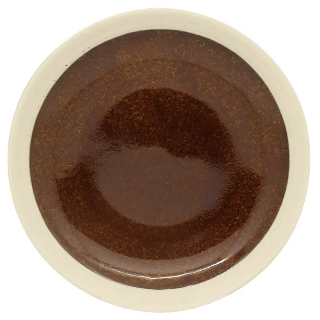 日本 IZAWA Rim Band 6.5 餐盤/ Brown