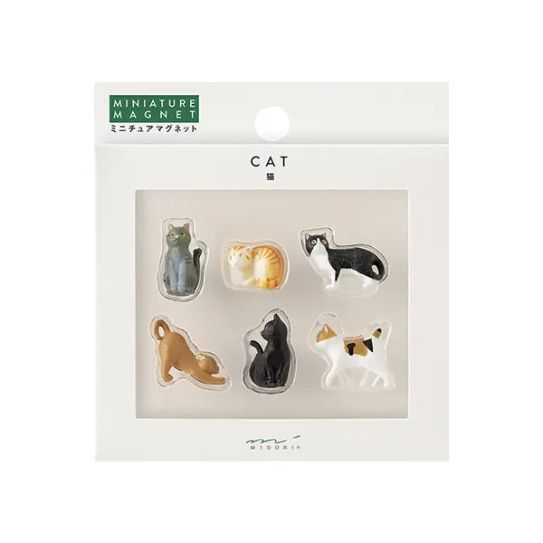 日本 MIDORI 立體磁鐵/ 6入組/ Cat C